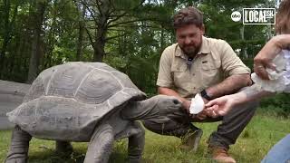The husband and wife duo behind Garden State Tortoise provide sanctuary to hundreds of animals