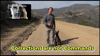 Corrections are Not Commands  Understanding Dogs Through Proper Dog Training