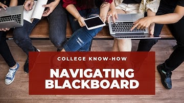 Navigating Blackboard