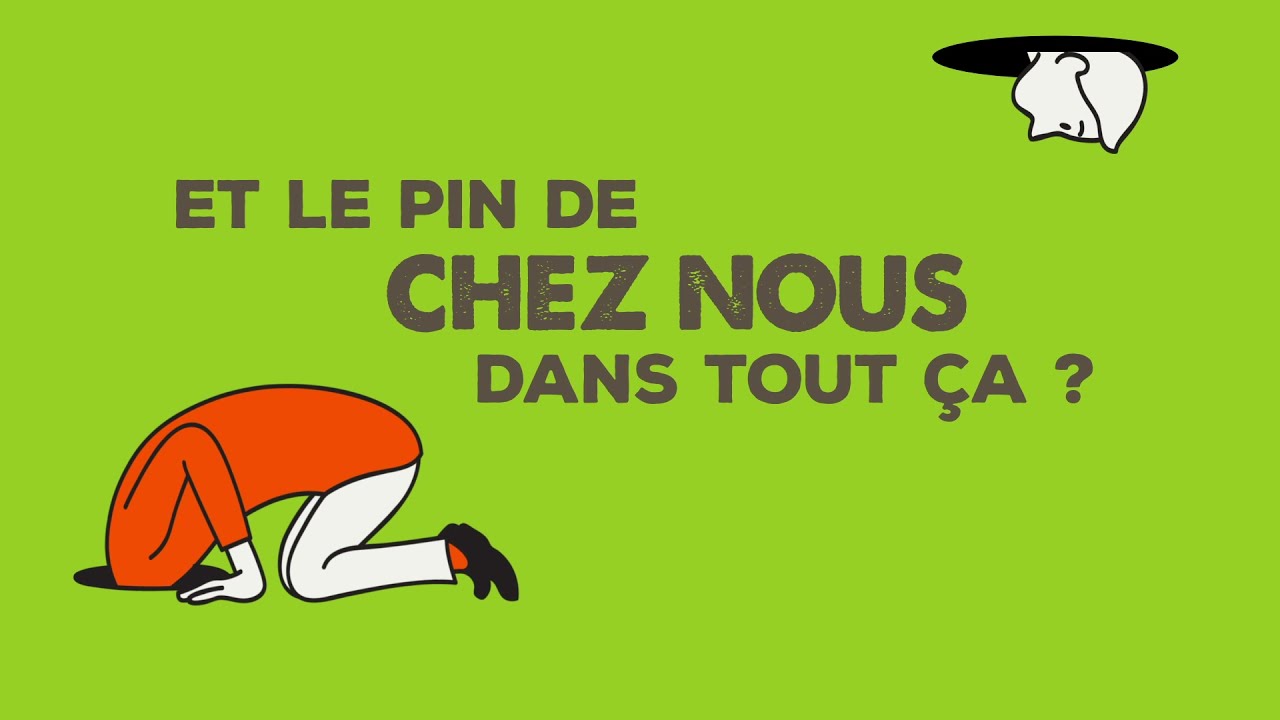 Qu'est-ce que la certification CTB NC ?