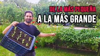 Cómo hacer una huerta desde cero que se adapte a vos EN VIVO!!!