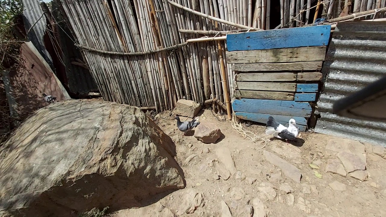 Dwera F Jbel Beni Gorfet