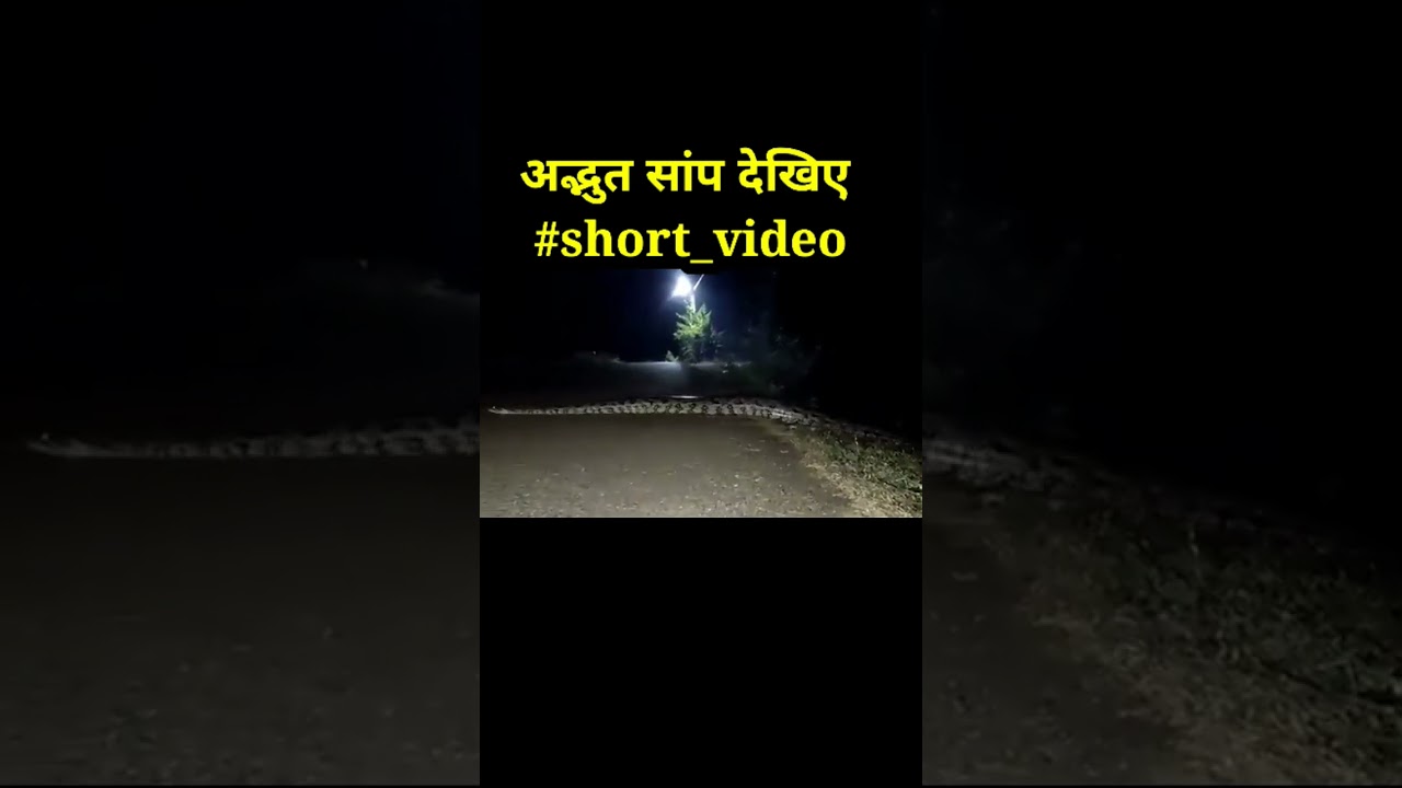 Obejrzyj See amazing snake w YouTube Obejrzyj See amazing snake w YouTube