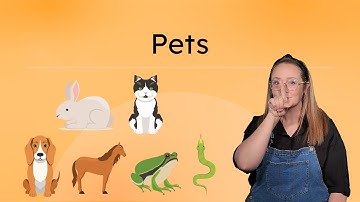 Pets - Learn To Sign About Pets in American Sign Language