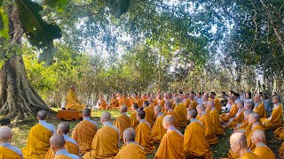 NIKAYA Thiền Quán - Chà Đạp Phiền Não  Trở Về Cội Giác & Cách Nhiếp Phục Dục Ái