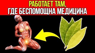 картинка: Пейте Чай Из Лаврового Листа Каждый День, И Вы Будете Поражены Результатом