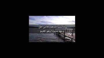سورة النحل الآية 57#قران_كريم