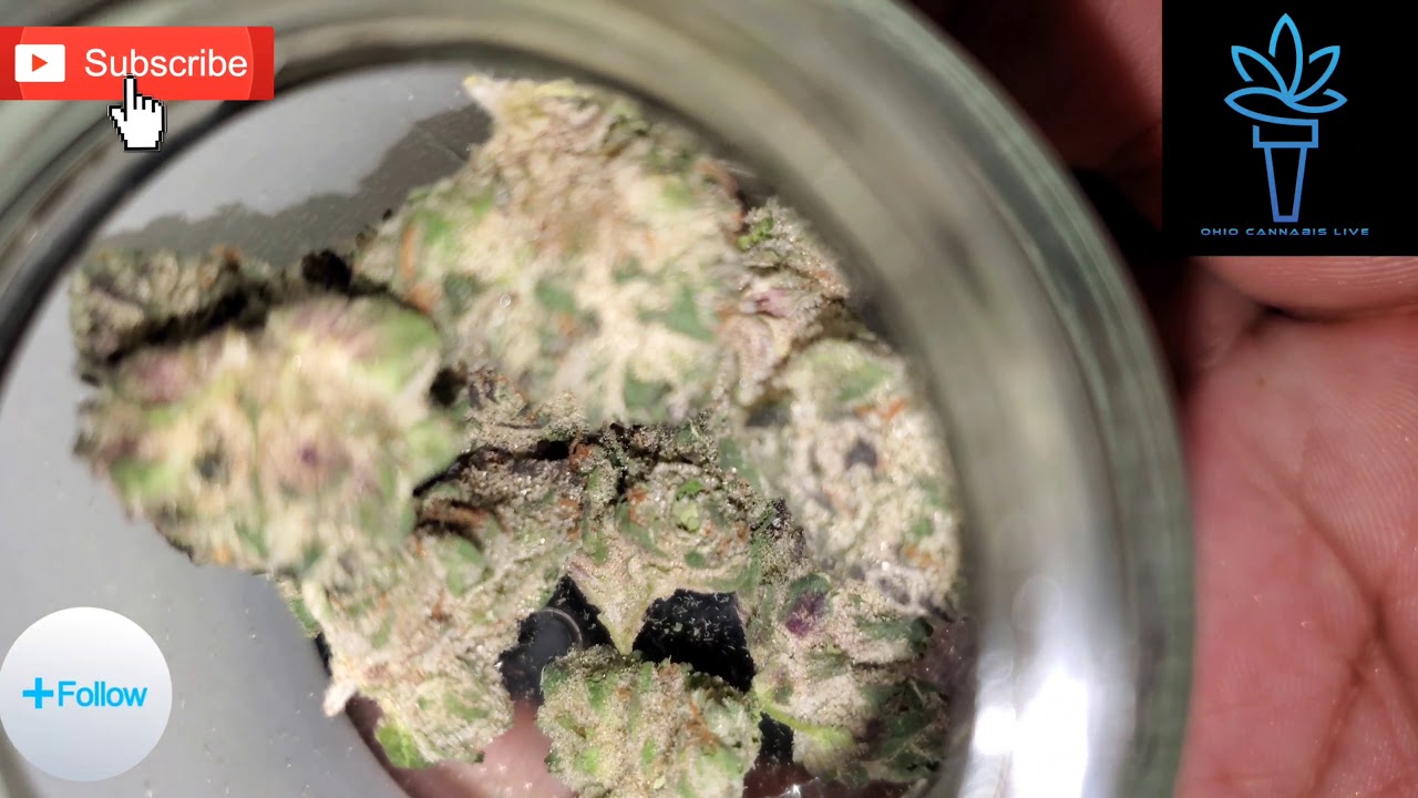 Dosi face by calyx peak Ohio medical cannabis