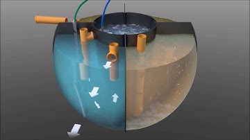 Video Micro station DELPHIN compact