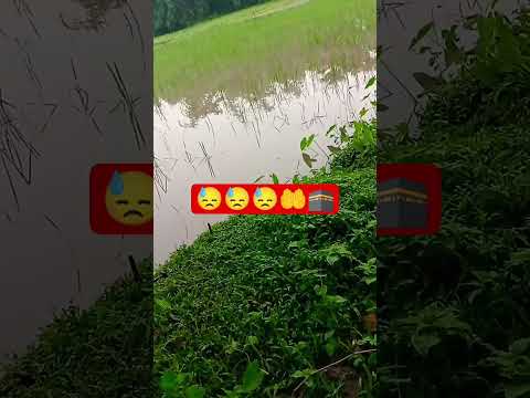 Allah amake khoma koro😓😓#shorts #viralvideo #trending  #allahuakbar #shortsfeed #youtubeshorts