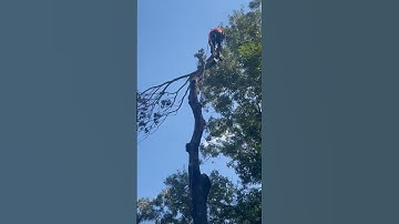 Negative Rigging 🔥False Crotch Rigging 💪