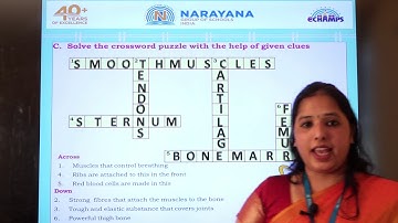 12TH NOV DELHI & KN CLASS V SCIENCE AMAZING ASSIGNMENT KEY