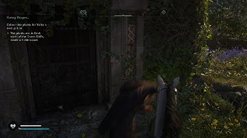 Hilarious bug in Assassin