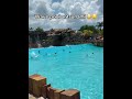 Woah 😧🌊 (via hey.florida.fun/TT)