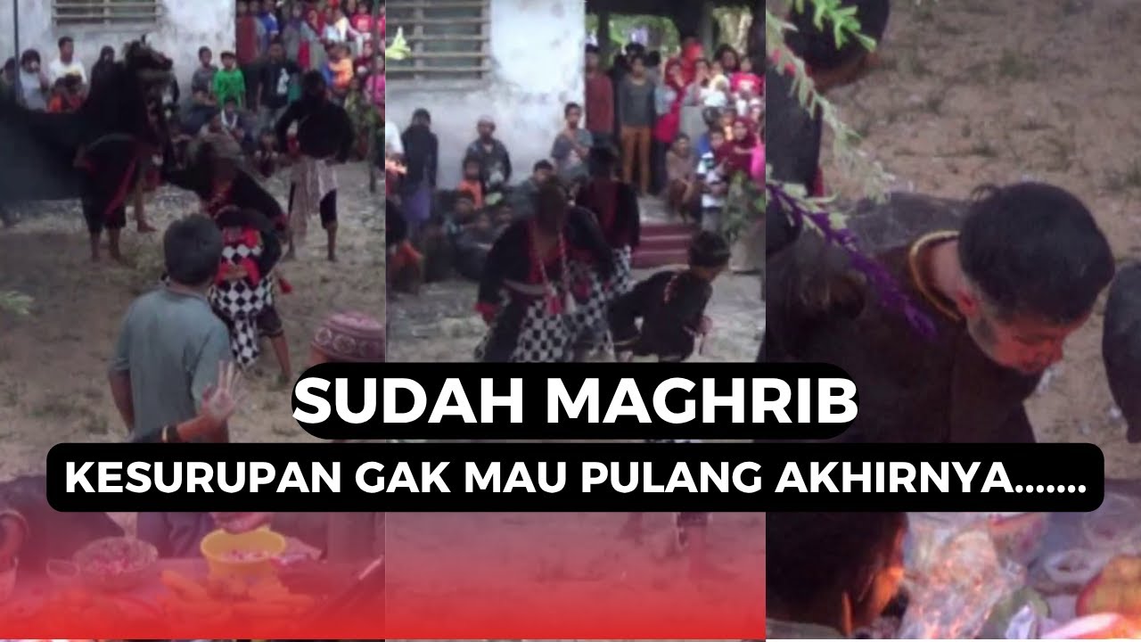 KUDA LUMPING MARGO SANTOSO KENANGAN PENTAS TAHUN 2014