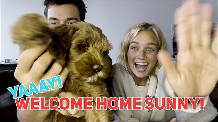 Welcome home Sunny!