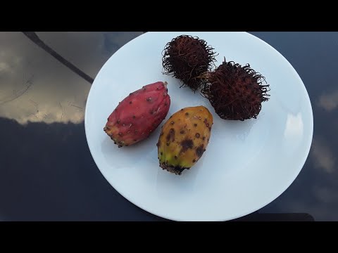 Is Rambutan Rare