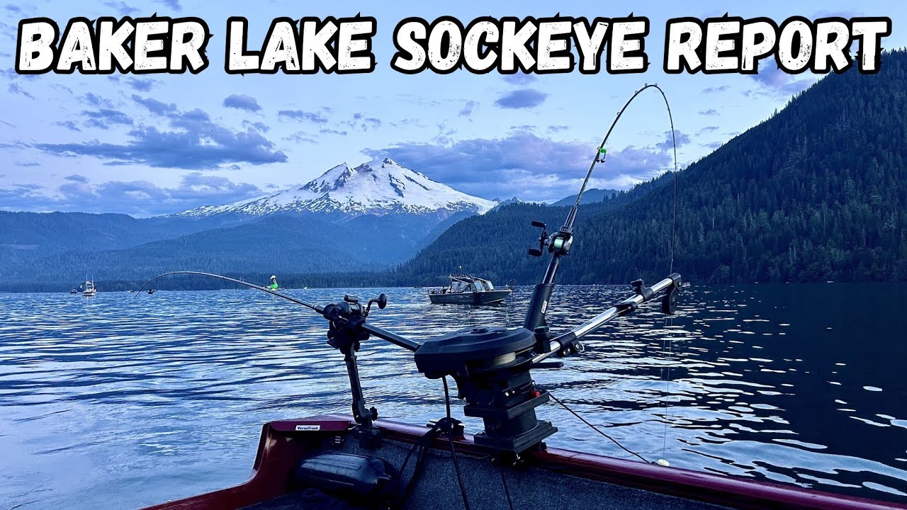 Baker Lake Sockeye Fishing Report. Thursday July 16, 2026