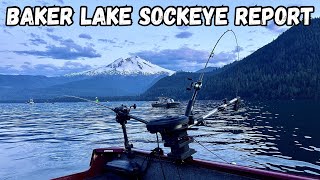 Baker Lake Sockeye Fishing Report. Thursday July 16, 2026