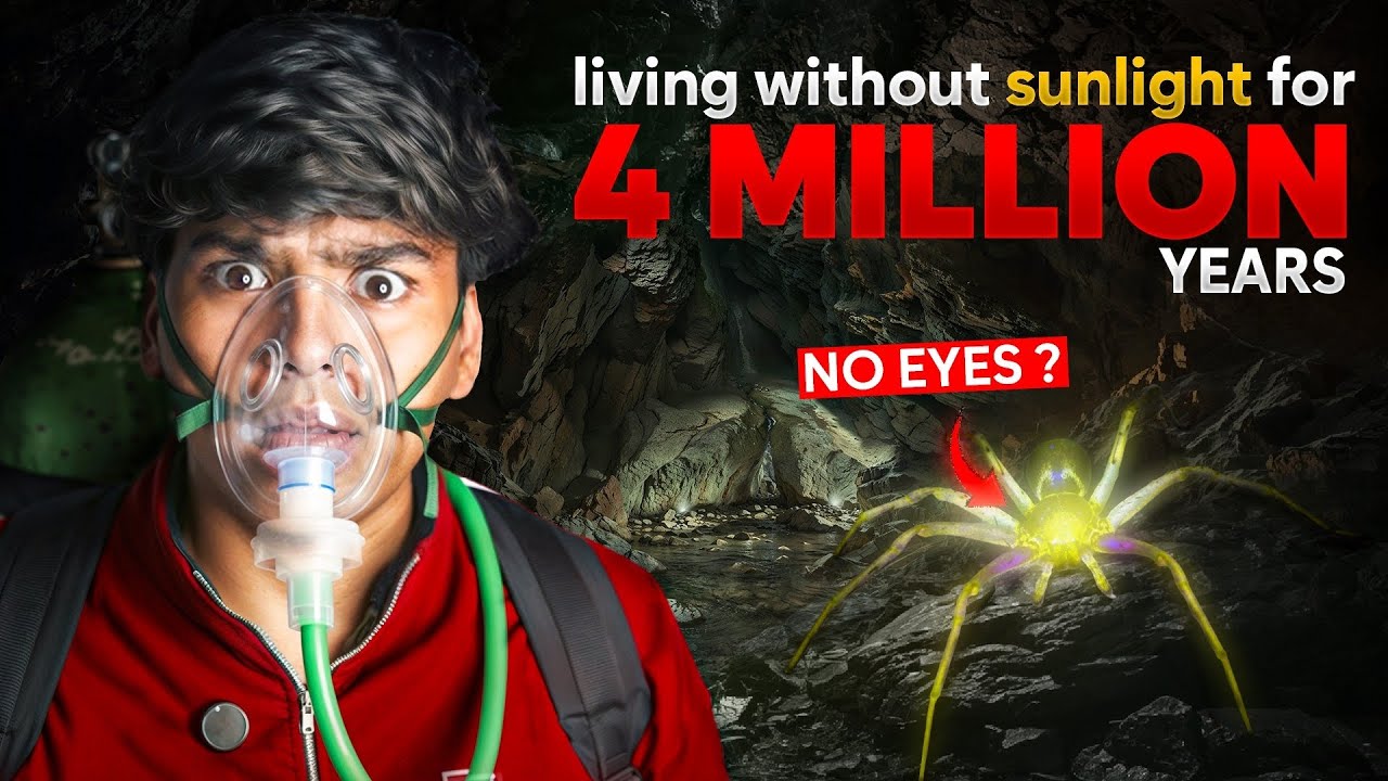 இப்படி எல்லாம் கூடவா இந்த உலகத்தில் இடங்கள் இருக்கிறது?? | Violet smiley