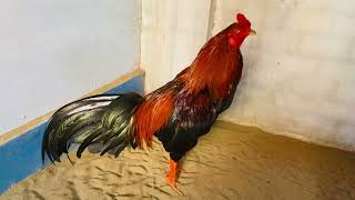🔴Vi:ệt la:i. Đụ:ng là nh:ai.dep096bốn(22-\/-\/-222)không.