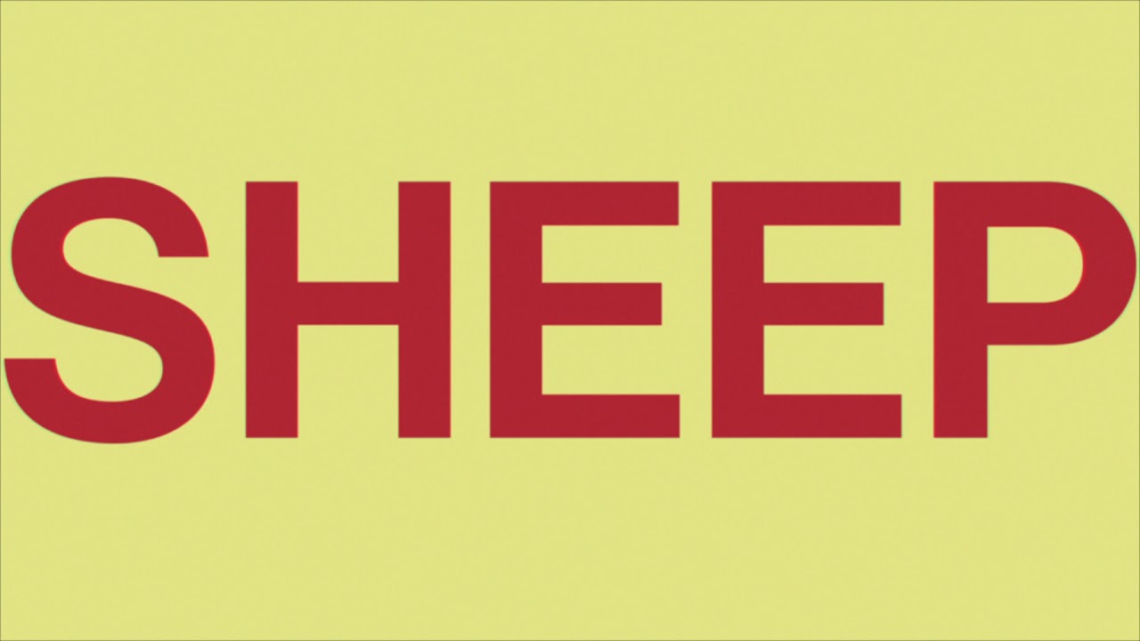 Watch The Wimps - Sheep (Lyric Video) on YouTube Watch The Wimps - Sheep (Lyric Video) on YouTube