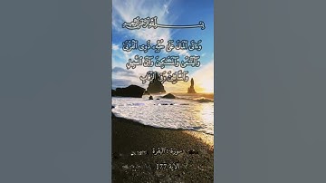 سورة البقرة الاية 177 #المصحف #قرآن #4k #اكسبلور  #holyquran #quran