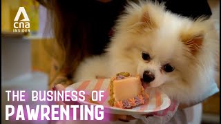 Dog Parties, Cat Hotels & Pet Spas: More Ways To Indulge Your Fur Kid | The Business Of Pawrenting screenshot 3