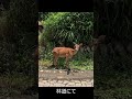 日常の24
