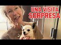 Nuestra pequeña Chihuahua tiene una visita sorpresa desde Alemania!