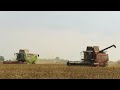 [Уборка пшеницы] 2x  ПАЛЕССЕ GS12, GS12A1, CLAAS Lexion 570, МАЗ 5551, 5516