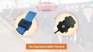 New smart collar for cows. JioGausamriddhi #HFcow #cattle #Cowsensor #cownecktag #necktag #neckband