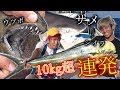 100万円を使って、合計100kgの魚を釣り上げろ！[与那国遠征 #1]