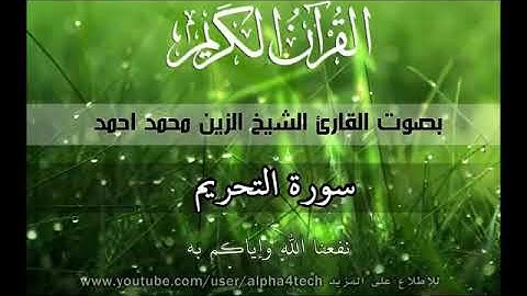 {66}سورة التحريم القارئ الشيخ الزين محمد احمد  Quran 66 At-Tahrim Alzain Mohamed