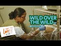 Wild Over Wild Ep 4 – Hidup atau Mati