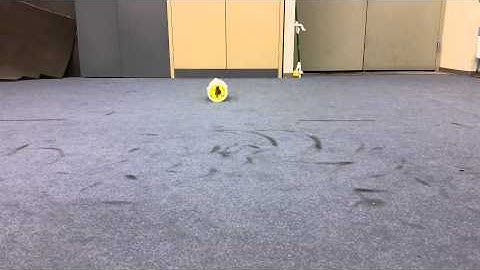 Final Prototype Rolling Forward