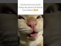 Life #memes #popular #viral #funnymemes #tweetreels #life #phone