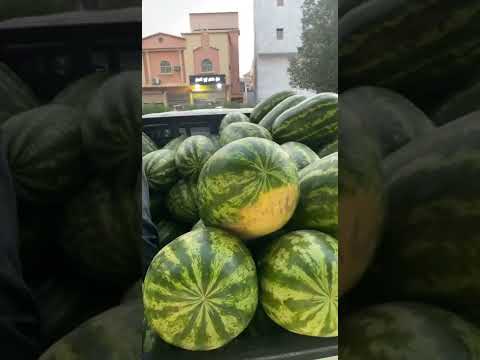 فواكه الاحساء خضروات النية الطيبة جديد السعودية الشرقية جح شمام برتقال مانجو تفاح خوخ مشمش