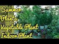 Sunday Update Garden Overview 15/3/20