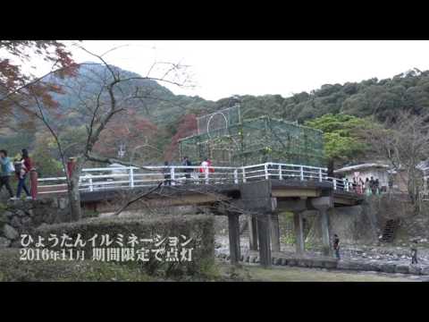 2016Autumn/養老公園紅葉＆イルミネーション