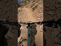 Riding high in the alpine!