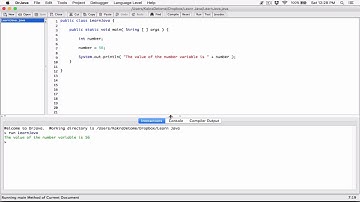 11. Literals - Learn Java