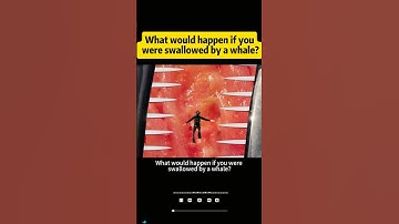 What would happen if you were swallowed by a whale?#knowledge #science