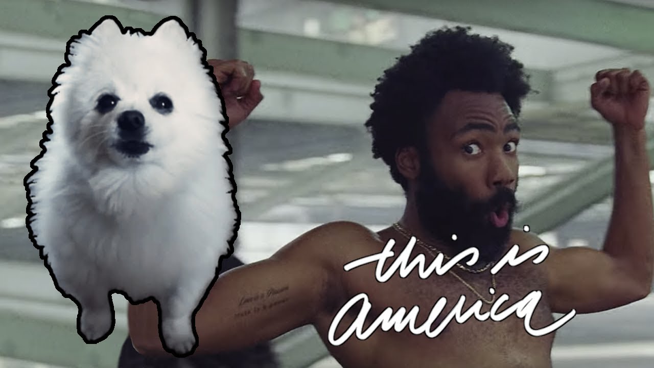 THIS IS AMERICA COVER em CACHORRÊS YouTube