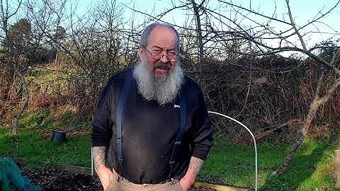 Quick Rant - Digging the last of the Parsnips of 2023