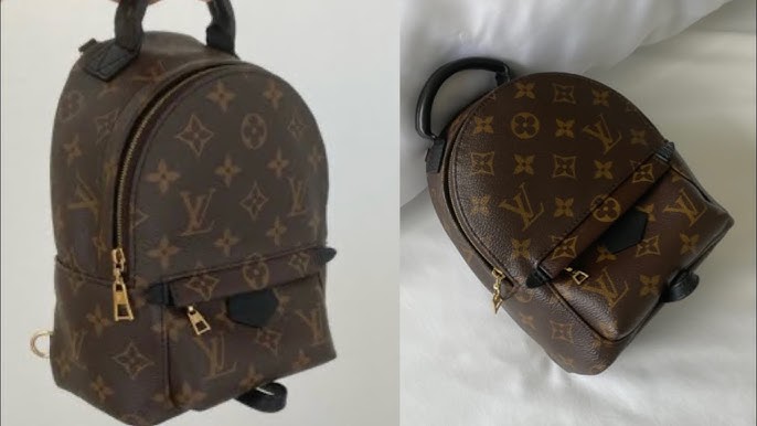 6 REASONS YOU SHOULD NOT BUY THE LOUIS VUITTON PALM SPRINGS BACKPACK MINI