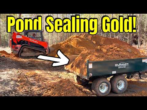 Stopping the Leaks: How We Finally Sealed Our Problem Pond!