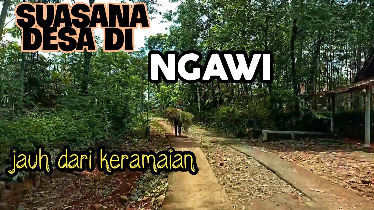 suasana desa daerah ngawi nyaman adem jauh dari keramaian