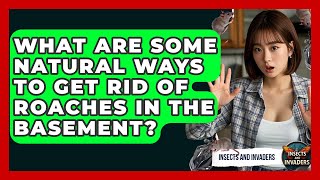 What Are Some Natural Ways To Get Rid Of Roaches In The Basement? - Insects and Invaders