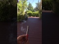 Matchbox Rocket slo-mo over hedge